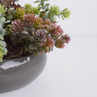 Arranjo De Folhagem No Vaso Cerâmica Cinza Baixo | Formosinha